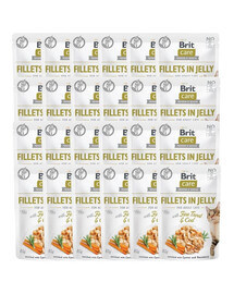 BRIT Care Fillets in Jelly Mix 48 x 85 g skonių: menkė ir upėtakis, vištiena ir sūris katėms