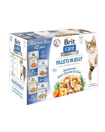 BRIT Care Fillets in Jelly and in Gravy Cat 24x85g mix skonių želė ir kačių padaže
