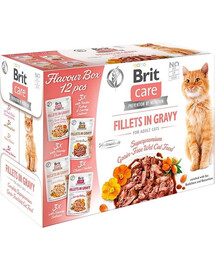 BRIT Care Fillets in Gravy Cat 24 x 85 g lašišos, kalakutienos, antienos ir vištienos filė su padažu katėms