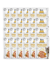 Brit Care Fillets in Gravy Pouch Sterilized įvairių skonių rinkinys 48x85 g su kalakutiena, lašiša ir tunu sterilizuotoms katėms.