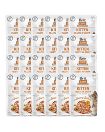 BRIT Care Fillets in Gravy Kitten Mix 48 x 85 g skonių: kalakutiena ir lašiša padaže kačiukams