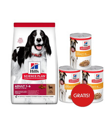 HILL'S Science Plan Canine Adult Medium Lamb & Rice 18 kg sausas pašaras vidutinių veislių suaugusiems šunims su ėriena ir ryžiais + 3 skardinės HILL'S šlapio pašaro dovanų.