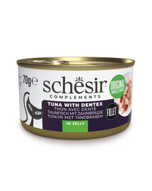 SCHESIR Complements Tunas su kielčaku želatinoje, 6 x 70 g – papildomas šlapias maistas katėms