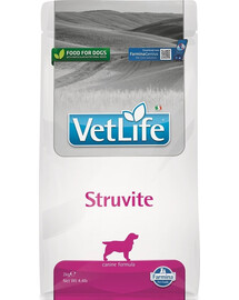 FARMINA Vet Life Struvite Dog 2 kg šunų, sergančių šlapimo takų ligomis, ėdalas + FARMINA Vet Life Dental Treat Struvite Medium/Maxi 100 g (7 vnt.) NEMOKAMAI!