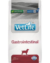 FARMINA Vet Life Gastrointestinal Dog 2 kg šunų maistas, skirtas tiems, kurie turi virškinimo problemų + FARMINA Vet Life Dental Treat Gastrointestinal Medium/Maxi 100 g (7 vnt.) NEMOKAMAI!