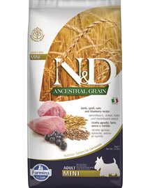 FARMINA N&D Ancestral Grain Adult Mini Dog su ėriena ir mėlynėmis 7 kg, ėdalas mažų veislių šunims + FARMINA N&D Quinoa Dental Treat Flatulence Mini 60 g (7 vnt.) DOVANŲ!