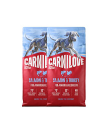 CARNILOVE Active Dog Salmon & Turkey 2x12 kg Junior Large Breeds lašiša ir kalakutas, skirtas augantiems dideliems šunims