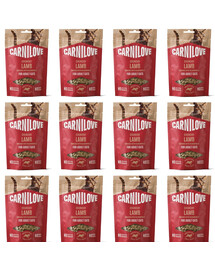 CARNILOVE Crunchy Snack Cat Lamb 12x50 g z jagnięciną i jeżynami, chrupiący przysmak dla kotów