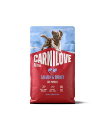 CARNILOVE Active Dog Salmon & Turkey Puppies 3 x 4 kg – sausas pašaras su lašiša ir kalakutiena augantiems šuniukams