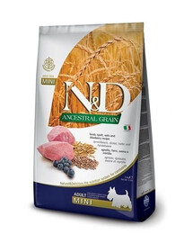 FARMINA N&D Ancestral Grain Adult Mini Dog su ėriena ir mėlynėmis 2,5 kg, ėdalas mažų veislių šunims + FARMINA N&D Quinoa Dental Treat Fresh Breath Mini 60 g (7 vnt.) DOVANŲ!