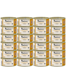 APPLAWS Cat Broth 24x70g vištiena su kepenėlėmis sultinyje drėgnas maistas katėms