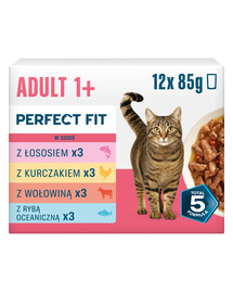 PERFECT FIT Adult 1+ Mix Smaków 12 x 85g mokra karma dla dorosłych kotów