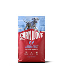 CARNILOVE Active Dog Salmon & Turkey 4 kg Junior Large Breeds łosoś i indyk, dla dorastających juniorów ras dużych