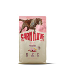 CARNILOVE True Fresh Dog Turkey Adult 4 kg su šviežia kalakutiena šunims + CARNILOVE Dog Jerky Turkey and Rabbit 100 g NEMOKAMAI