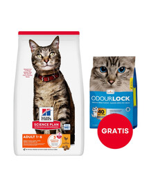 HILL'S Science Plan Feline Adult Chicken 10 kg dla dorosłych kotów  + żwirek dla kotów 6 kg GRATIS