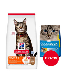 HILL'S Science Plan Feline Adult with Lamb 10kg dla dorosłych kotów z jagnięciną + żwirek dla kotów 6 kg GRATIS