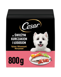 CESAR Adult su vištiena ir lašiša, 6 x 800 g sausas šunų ėdalas