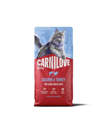 CARNILOVE Active Cat Salmon and Turkey Adult Large 6 kg łosoś i indyk, dla kotów dużych ras
