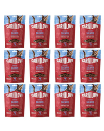 CARNILOVE Crunchy Snack Cat Salmon 12x50 g z łososiem i kocimiętką, chrupiący przysmak dla kotów
