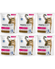 PERFECT FIT Adult 1+ 6x750 g sucha karma pełnoporcjowa dla dorosłych kotów bogata w świeżego łososia