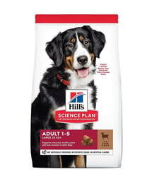 HILL'S Science Plan Canine Adult Large Breed Lamb & Rice 2 x 14 kg sausas pašaras didelių veislių suaugusiems šunims su ėriena ir ryžiais