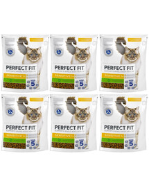 PERFECT FIT Sensitive 1+ 6x750 g sucha karma pełnoporcjowa dla dorosłych kotów bogata w indyka