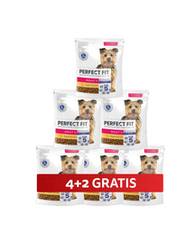 PERFECT FIT Adult 1+ sucha karma pełnoporcjowa dla dorosłych psów małych ras bogata w kurczaka 6 x 825 g 4+2 GRATIS
