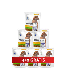 PERFECT FIT Sensitive 1+ sucha karma pełnoporcjowa dla dorosłych psów małych ras bogata w indyka 6 x 825 g 4+2 GRATIS