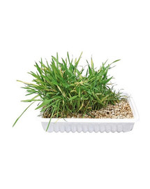 Trixie žolė katėms 130 g