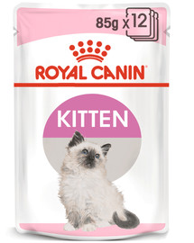 Royal Canin Kitten paštetas 12 X 85 g