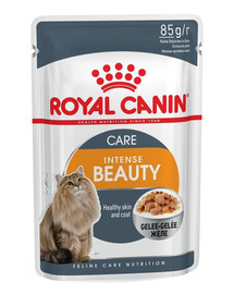 Royal Canin Intense Beauty 85 g in Jelly