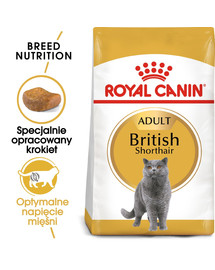 Royal Canin British Shorthair Adult 4 kg