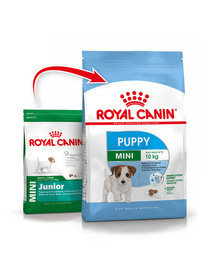 ROYAL CANIN Mini Puppy / Junior 8 kg karma sucha dla szczeniąt, od 2 do 10 miesiąca życia, ras małych + Mini puppy 12x85 g + Mini puppy 12x85 g