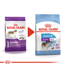 ROYAL CANIN Giant Junior 30 kg (2 x 15 kg) sausas maistas suaugusiems šunims iki 18/24 mėnesių amžiaus, milžiniškos veislėms