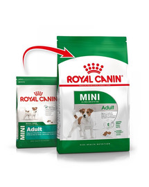 ROYAL CANIN Mini Adult 8 kg sausas maistas + šlapias maistas Mini adult 12x85 g