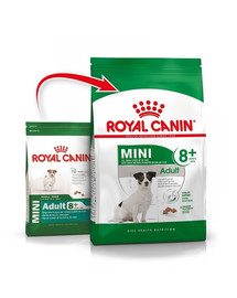 ROYAL CANIN Mini Adult 8+ 16 kg (2 x 8 kg) sausas maistas vyresniems šunims nuo 8 iki 12 metų, mažų veislių