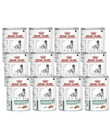 ROYAL CANIN Diabetic Special 410 g šlapio maisto suaugusiems diabetu sergantiems šunims x 12
