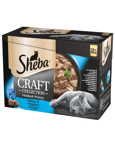 SHEBA konservai  48x85g Craft Collection šlapias kačių maistas padaže (su lašiša, tunu, balta žuvimi, menkėmis) + dubuo nemokamai