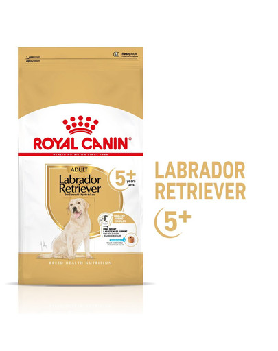 ROYAL CANIN Labrador Retriever Adult 5+ 12 kg sausas maistas brandiems labradoro retriverių šunims, vyresniems nei 5 metų + kibirėlis pusmėnulio formos nemokamai