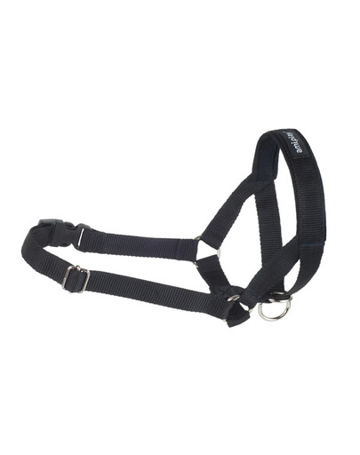 Amiplay Halter N6 Dog 2 cm nailoniniai apynasriai juodi