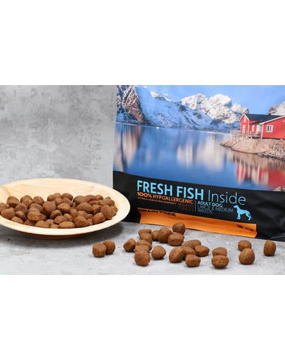 DR PETCARE Country&Nature Ocean White Fish Recipe 3 kg Šunų maistas vidutinių ir didelių veislių šunims Baltosios jūros žuvys