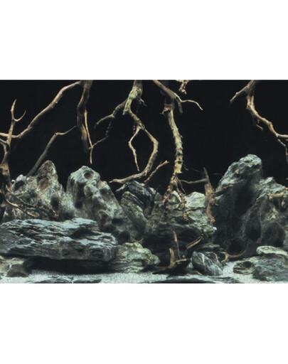 AQUA NOVA Dvipusis akvariumo fonas L 100x50cm  šaknys / vanduo