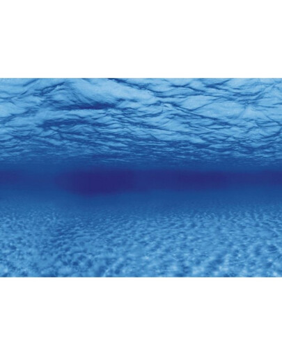 AQUA NOVA Dvipusis akvariumo fonas L 100x50cm  šaknys / vanduo