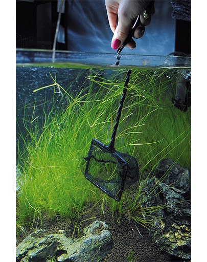 AQUA NOVA  Akvariumo tinklelis - 15 cm žuvų nusileidimo tinklas