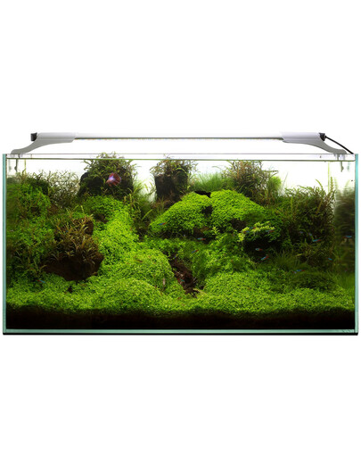 AQUAEL Leddy Slim 32W Plant 2.0 balta