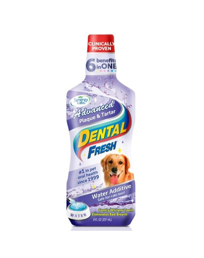 DENTAL FRESH dantų akmenys ir nuosėdos 237 ml