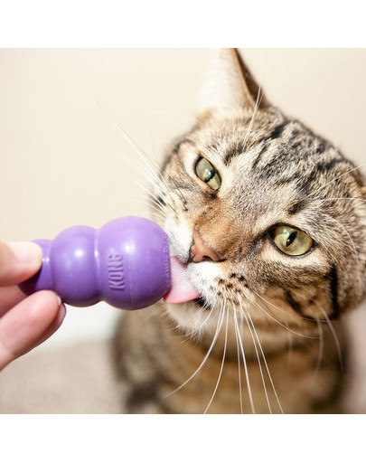 KONG Kitty žaislas katės skanėstams