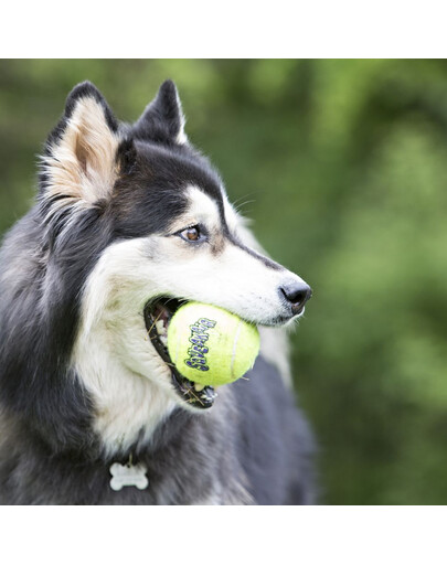 KONG SqueakAir Ball with rope M teniso kamuoliukas su virvele