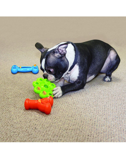 KONG Quest bone large  Žaislas šunų skanėstams
