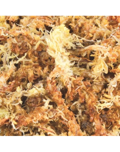 Trixie Sphagnum-Moss samanų pagrindas 100 g
